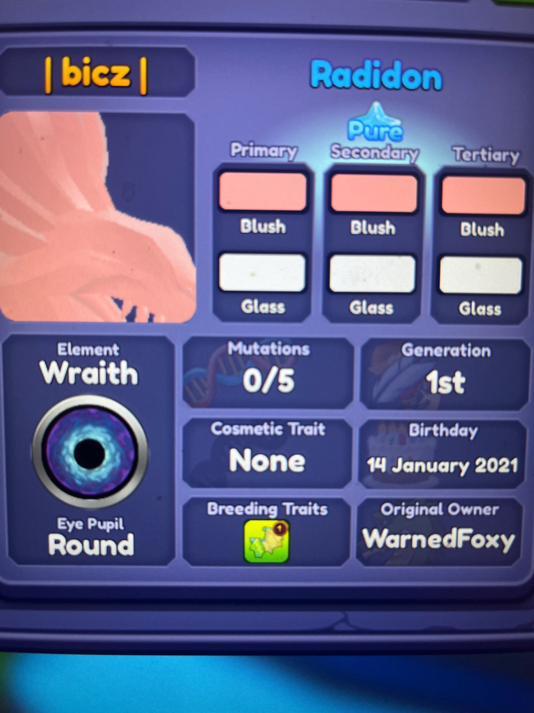 Radidon - Roblox Dragon Adventures Trade | Traderie