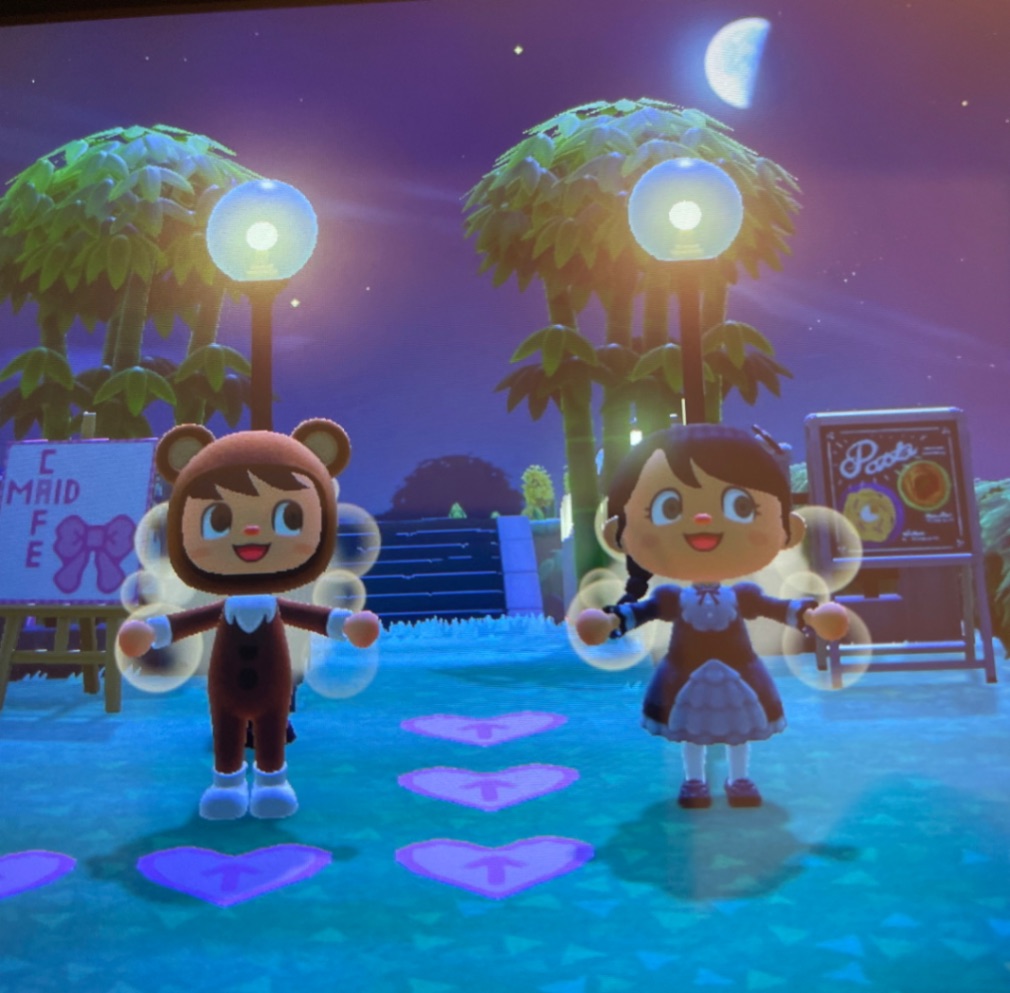 Island tour Trade Animal Crossing New Horizons (ACNH) (ACNH) Items