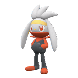 Raboot Pokemon Scarlet & Violet Trade Traderie