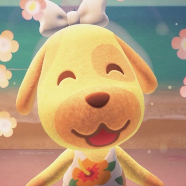 bamboo wall decoration Trade Animal Crossing New Horizons (ACNH