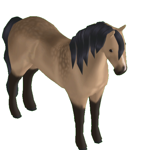 ratsssss's Profile | Wild Horse Islands | Traderie