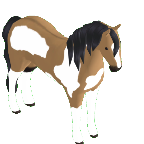  t 81175 s profile wild horse islands traderie