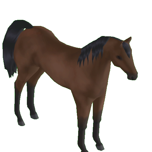 Wild Horse Islands Trade | Traderie