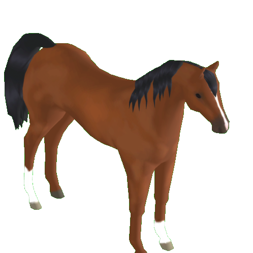 【希少品】INDLANA JONES／ARABIAN HORSE【シリアル番号】 Arabian Horse - Wild Horse Islands Trade | Traderie