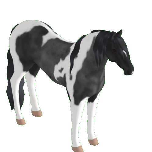 .xxox's Profile | Wild Horse Islands | Traderie